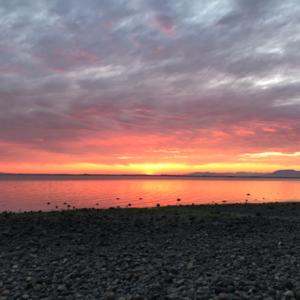 Your Earth Angel of Joy