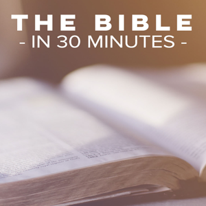 The Bible in 30 Minutes