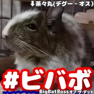 ビバボ~アラフォー2人の雑談バラエティ~