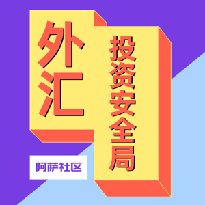 外汇交易|外汇投资安全局