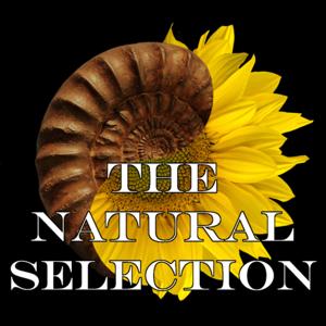 The Natural Selection Presents