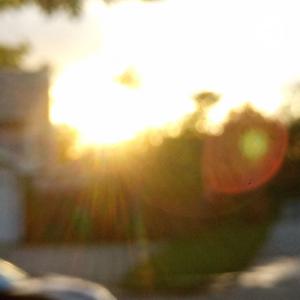 The Sugar Cane Podcast