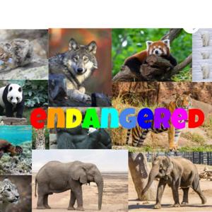 endangered