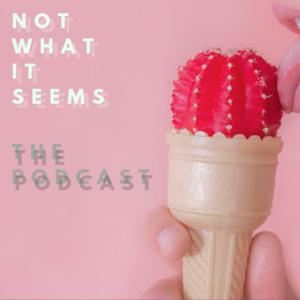 Not What It Seems The Podcast