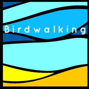 Birdwalking