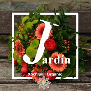 Jardín