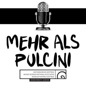 Mehr als Pulcini