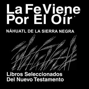 Nahuatl Sierra Negra Biblia - Porciones del Nuevo Testamento