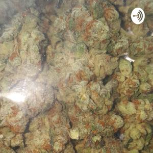 Blowed Talk