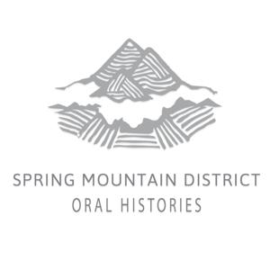 Spring Mountain District