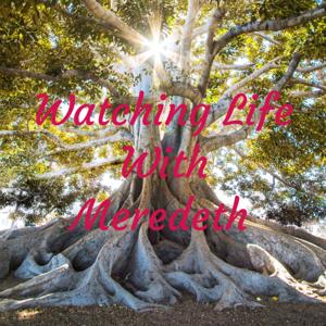 Watching Life With Meredeth