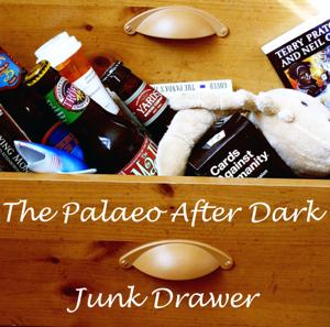 The Palaeo After Dark Junk Drawer