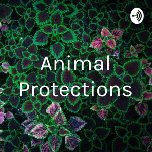 Animal Protections