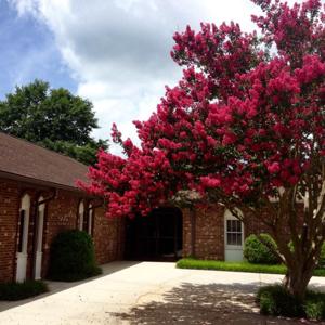 Faith Bible Fellowship Raleigh