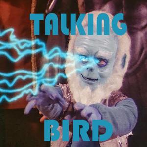 Talking Bird