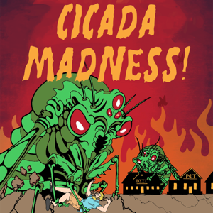 Cicada Madness!