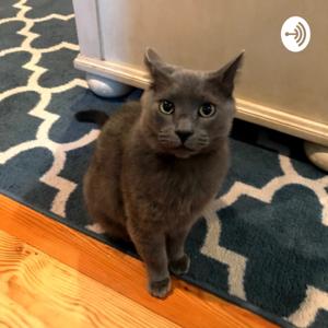 GreyCat Talks!