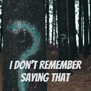 I Don't Remember Saying That