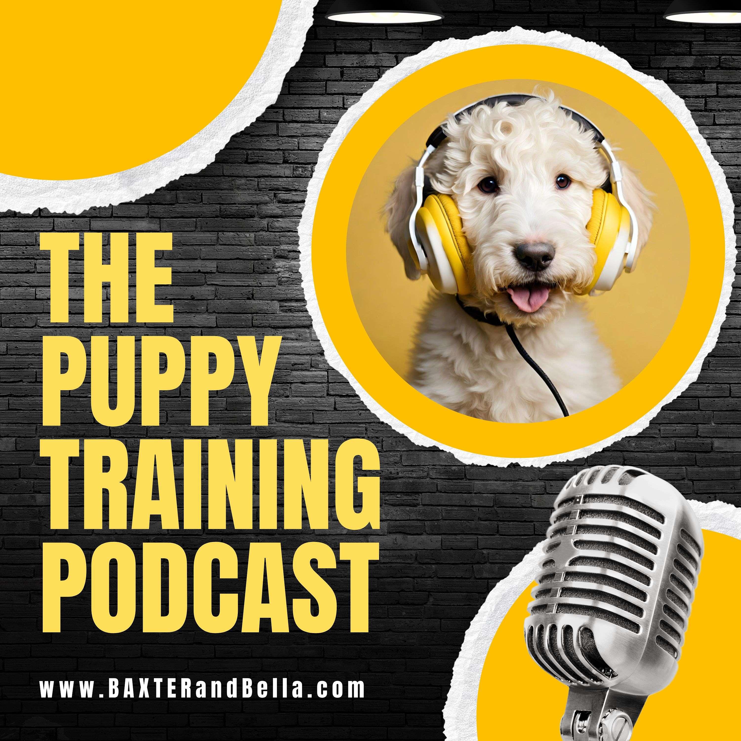 Podcast: Canine Enrichment
