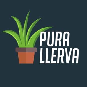 Pura Llerva
