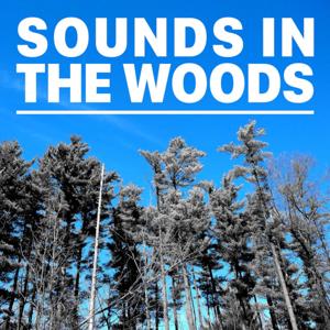 Sounds in the Woods