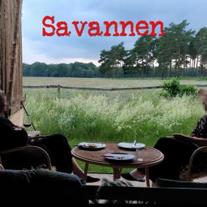 Savannen