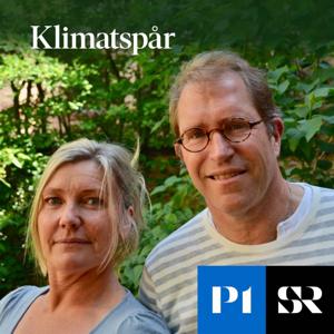 Klimatspår