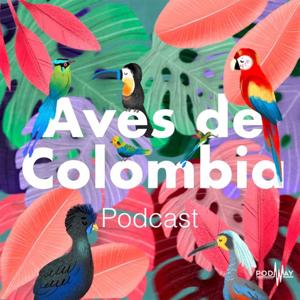 Aves de Colombia by PODWAY