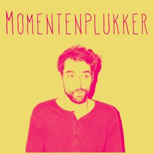 Momentenplukker