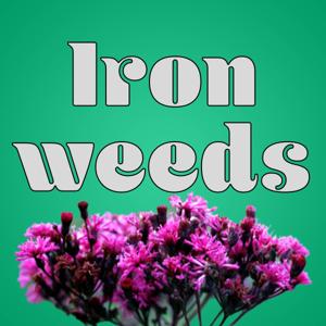 Ironweeds