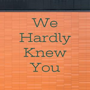 We Hardly Knew You