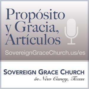 Propósito y Gracia, Artículos