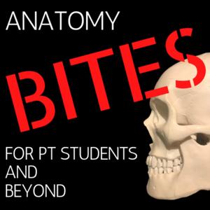 Anatomy Bites Podcast