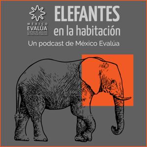 Elefantes en la habitación