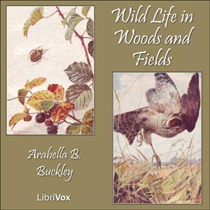 Wild Life in Woods and Fields by  Arabella B. Buckley (1840 - 1929)