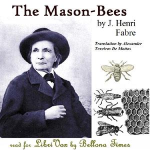Mason-Bees, The by Jean-Henri Fabre (1823 - 1915)
