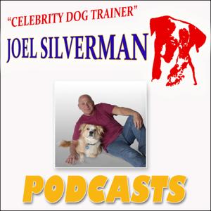 Celebrity Dog Trainer Joel Silverman's Podcasts