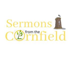 Sermons from the Cornfield