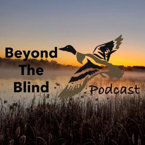 Beyond The Blind