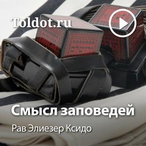 Рав Элиезер Ксидо  — Смысл заповедей