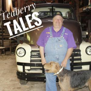 Teaberry Tales