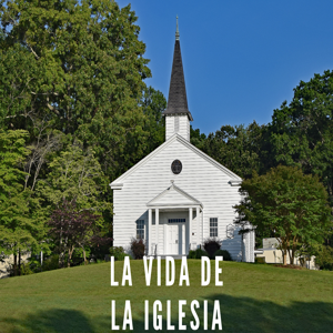 Vida de la Iglesia