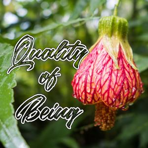 Quality of Being Podcast