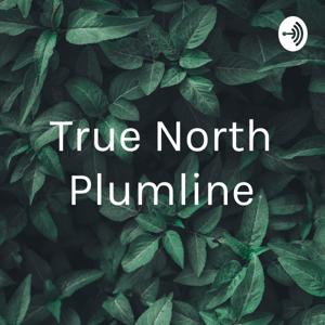 True North Plumline