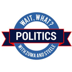 Wait, What? Politics with Zuma and Steele