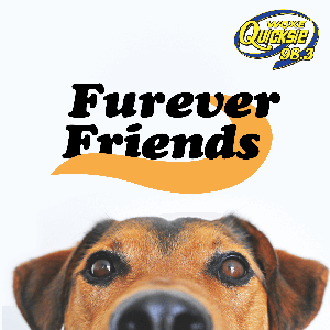 Furever Friends – Quicksie 98.3