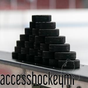 Access Hockey MI