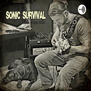 Sonic Survival: thriving in the modern music industry