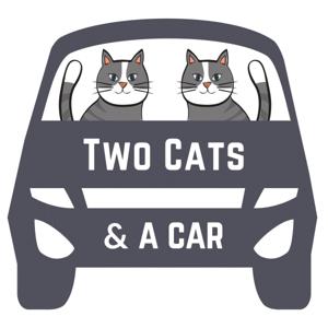 Two Cats & A Car