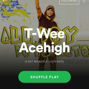 T-wee Acehigh Radio